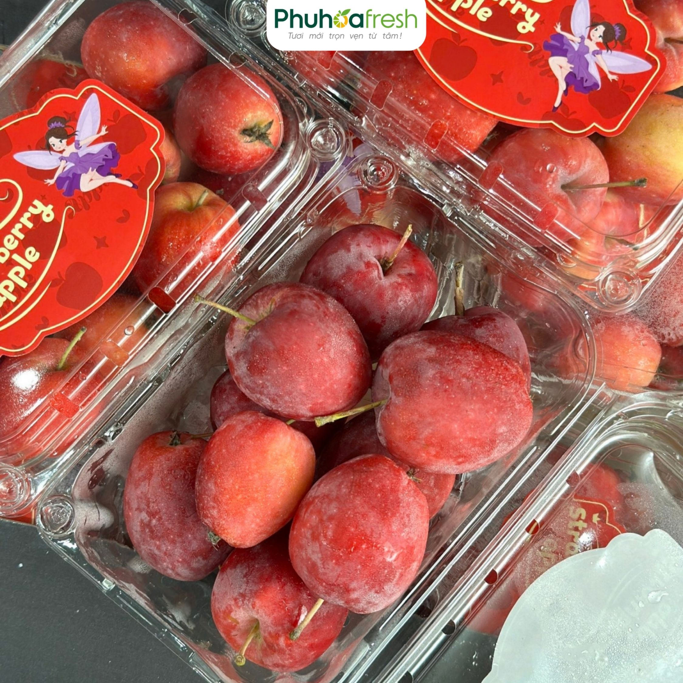 Táo Cherry Trung