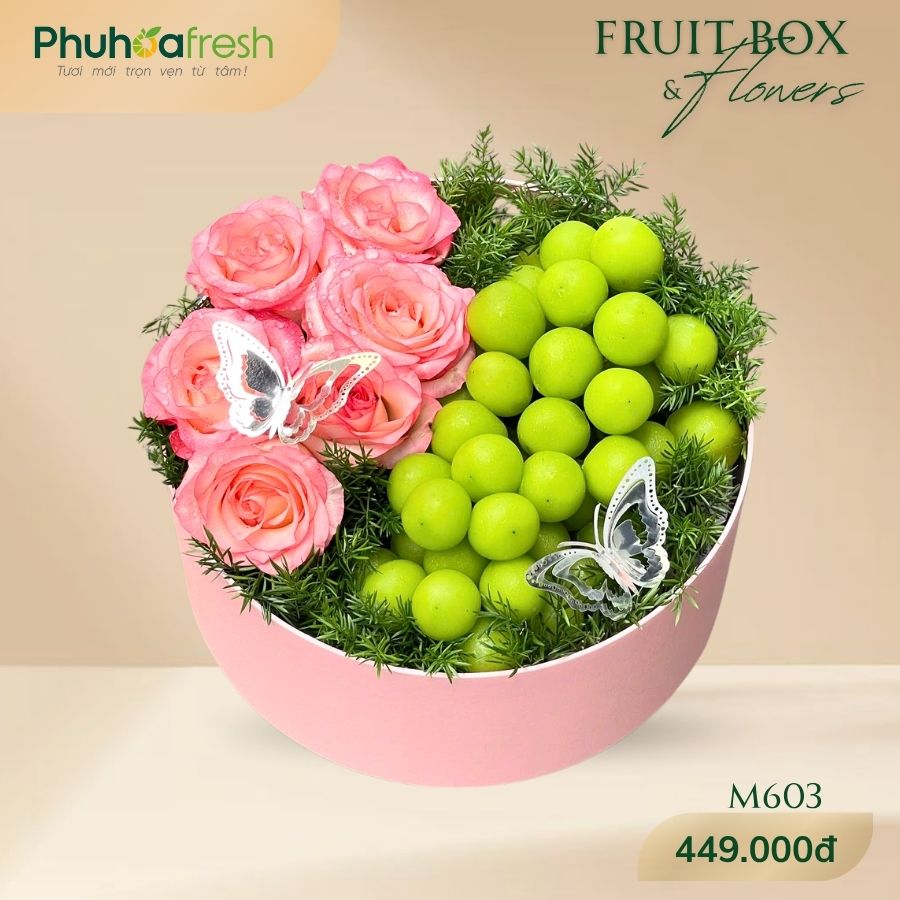 Quà Tặng Trái Cây - M603
