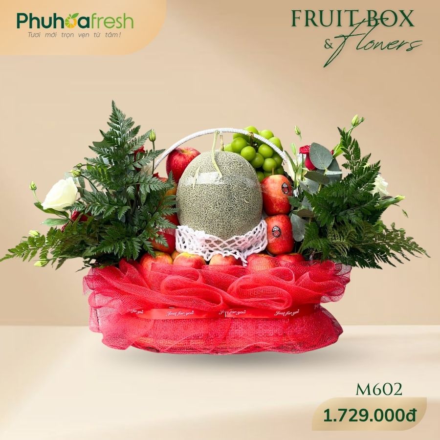 Quà Tặng Trái Cây - M602