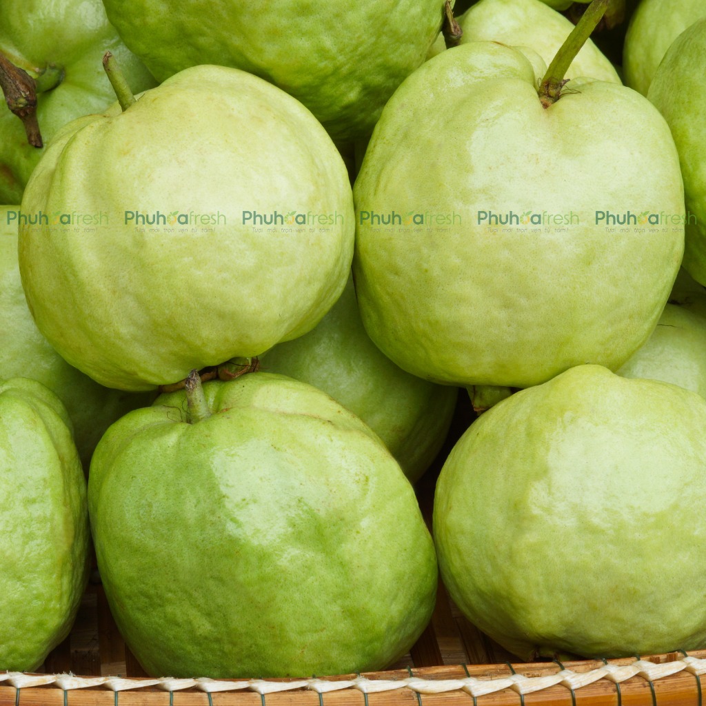 Ổi Nữ Hoàng (Đồng Tháp)