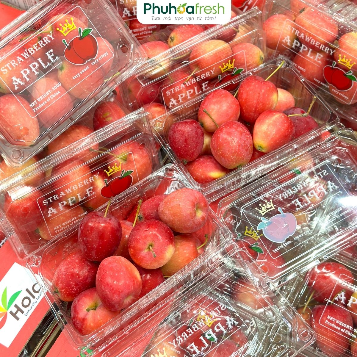 Táo Cherry Trung