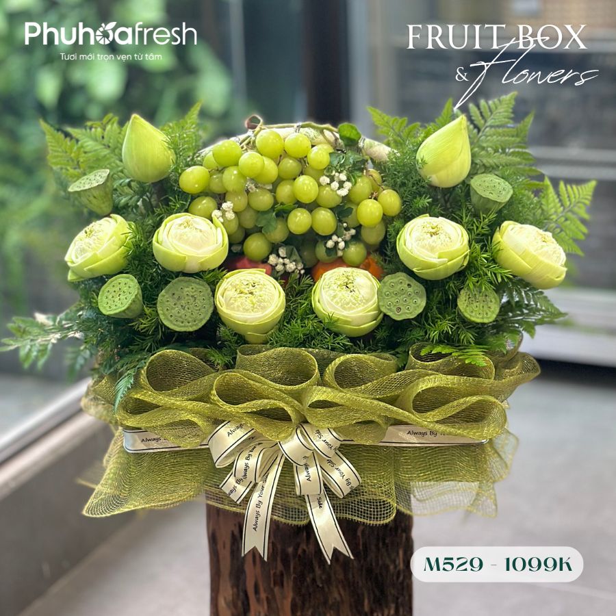 Quà Tặng Trái Cây - M529