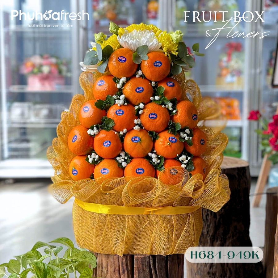 Quà Tặng Trái Cây - H684