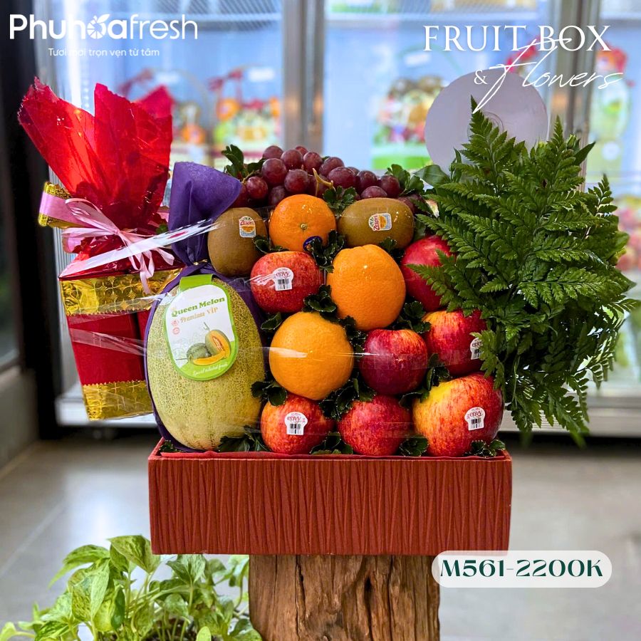 Quà Tặng Trái Cây - M561