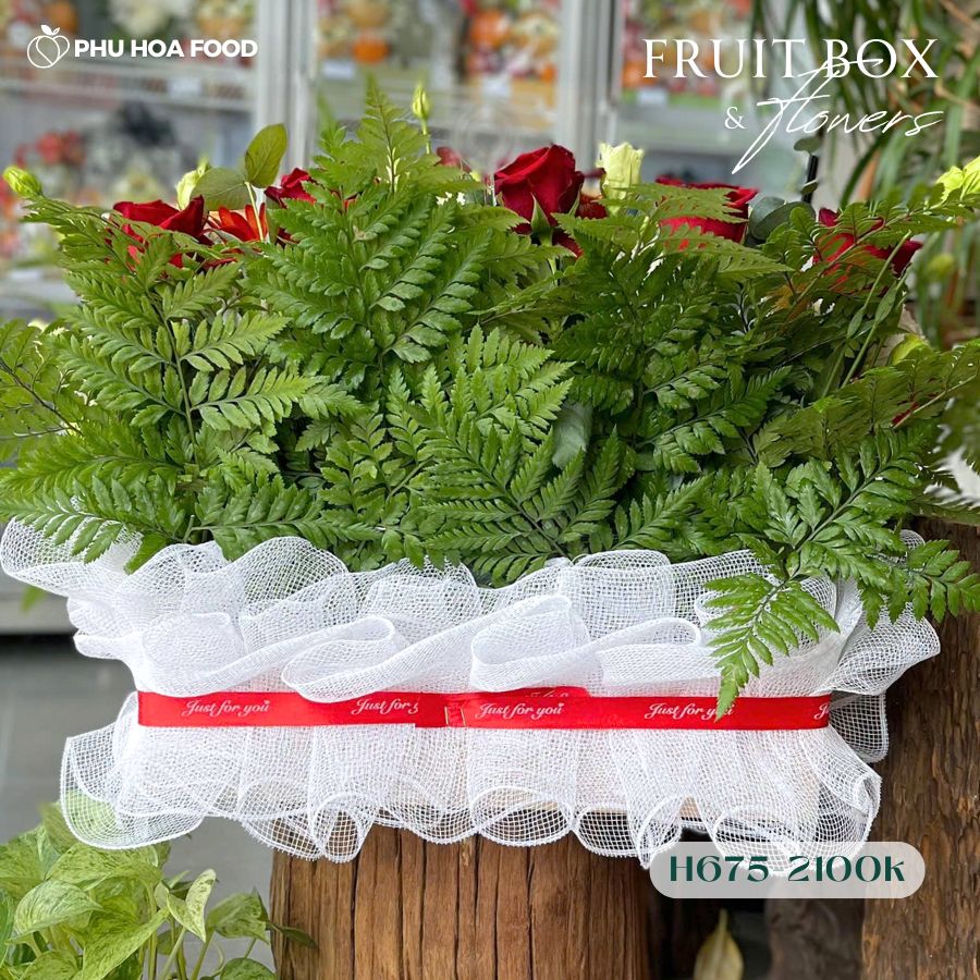 Quà Tặng Trái Cây - H675