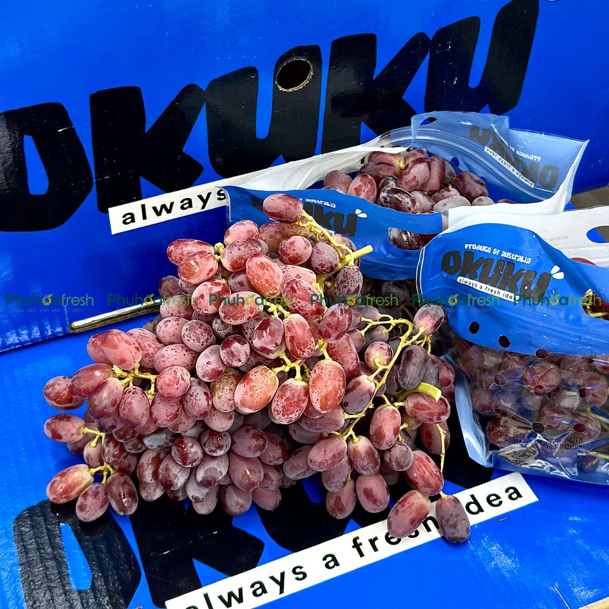 Nho Đỏ Úc