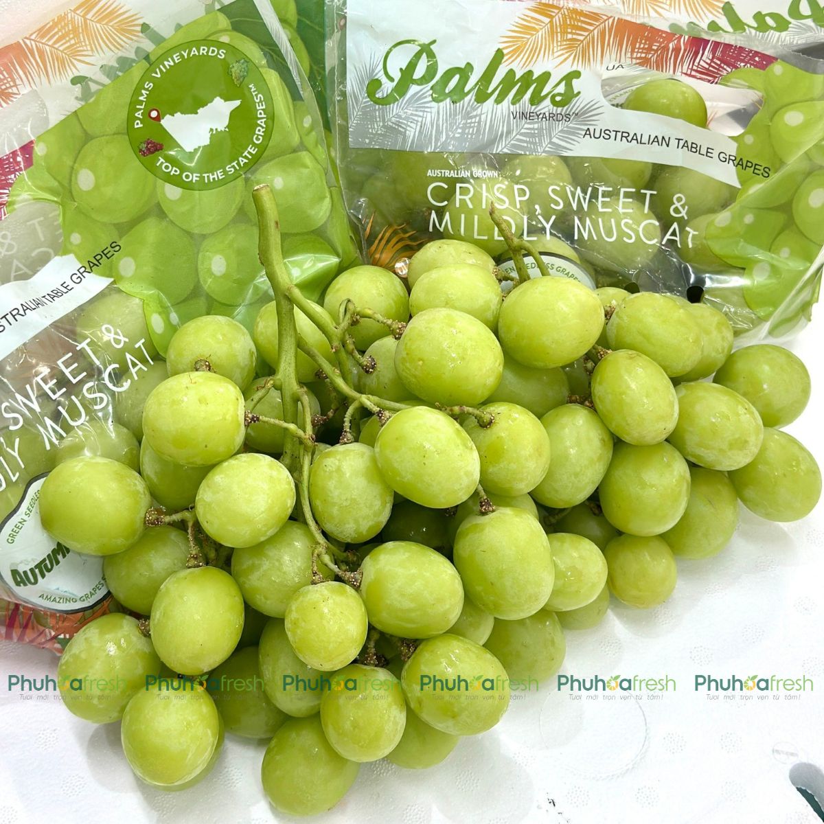 Nho Xanh Úc VIP
