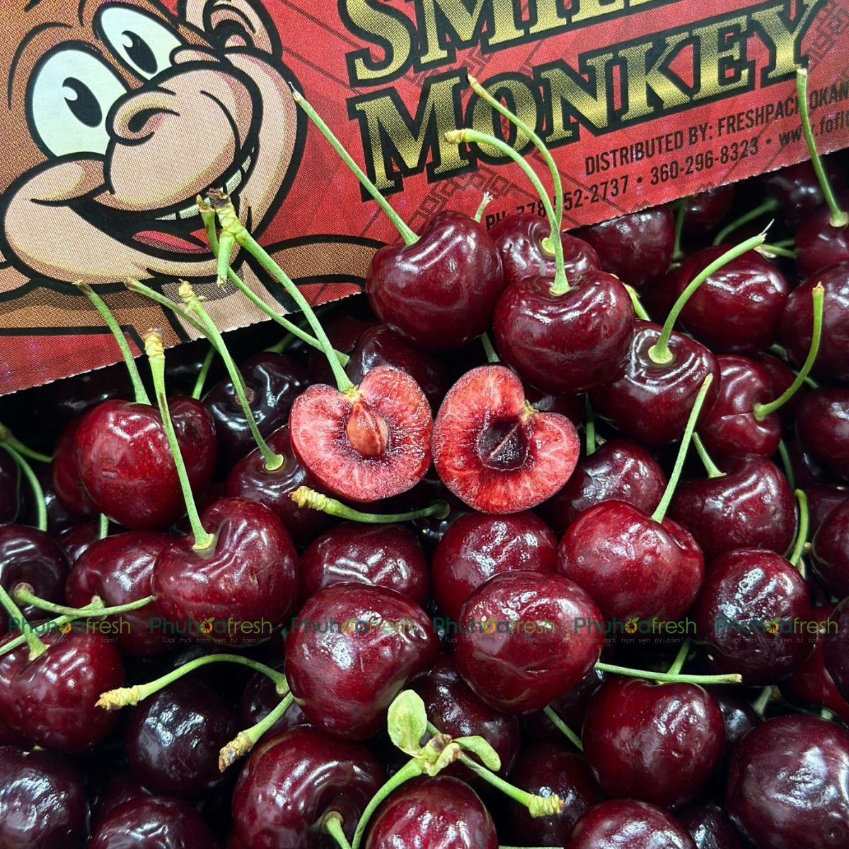 Cherry USA Size 10