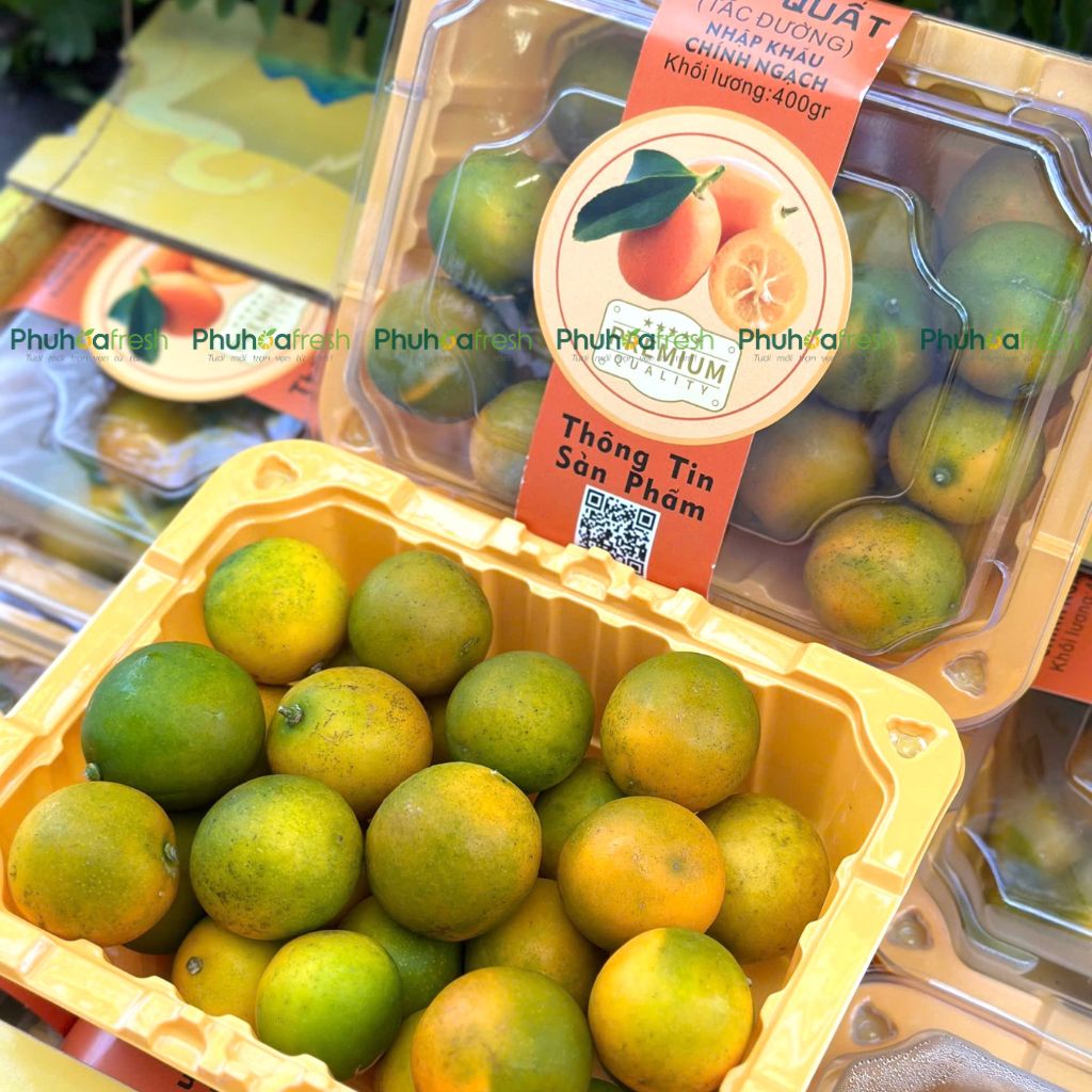 Kim Quất (Đài Loan)