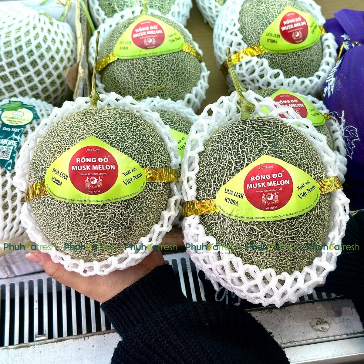 DƯA LƯỚI RUỘT XANH ICHIBA