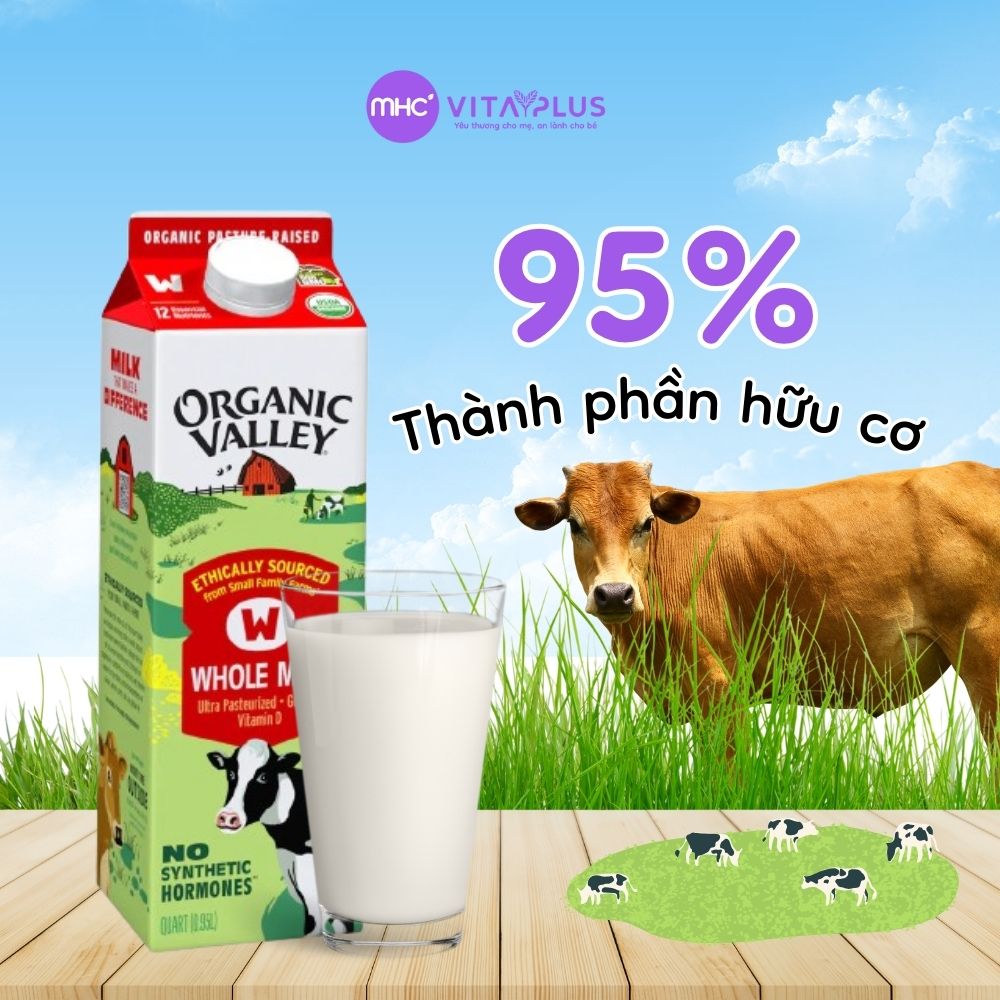 Sữa thanh trùng nguyên kem hữu cơ Organic Valley 1L