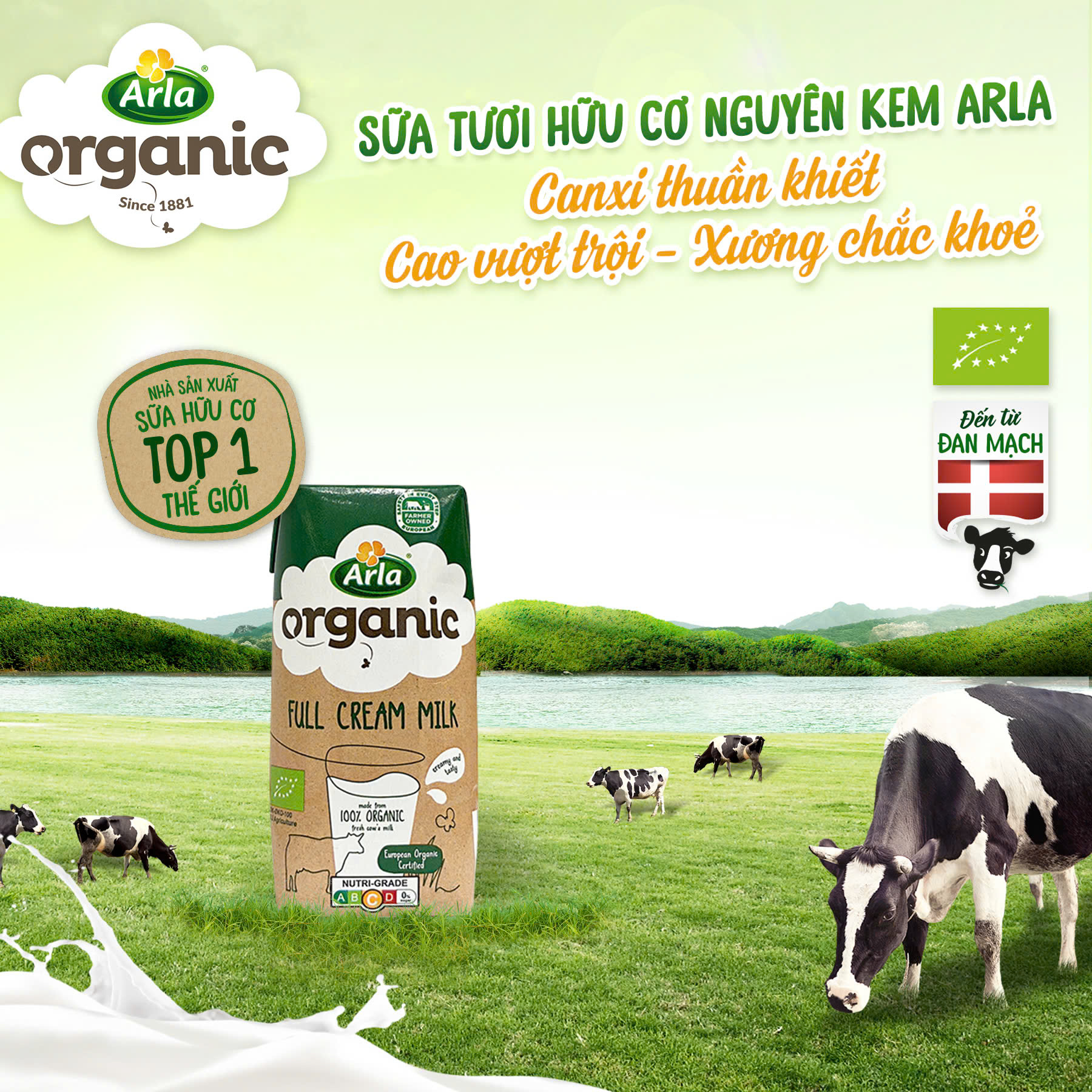 Sữa tươi hữu cơ nguyên kem Arla 200ml