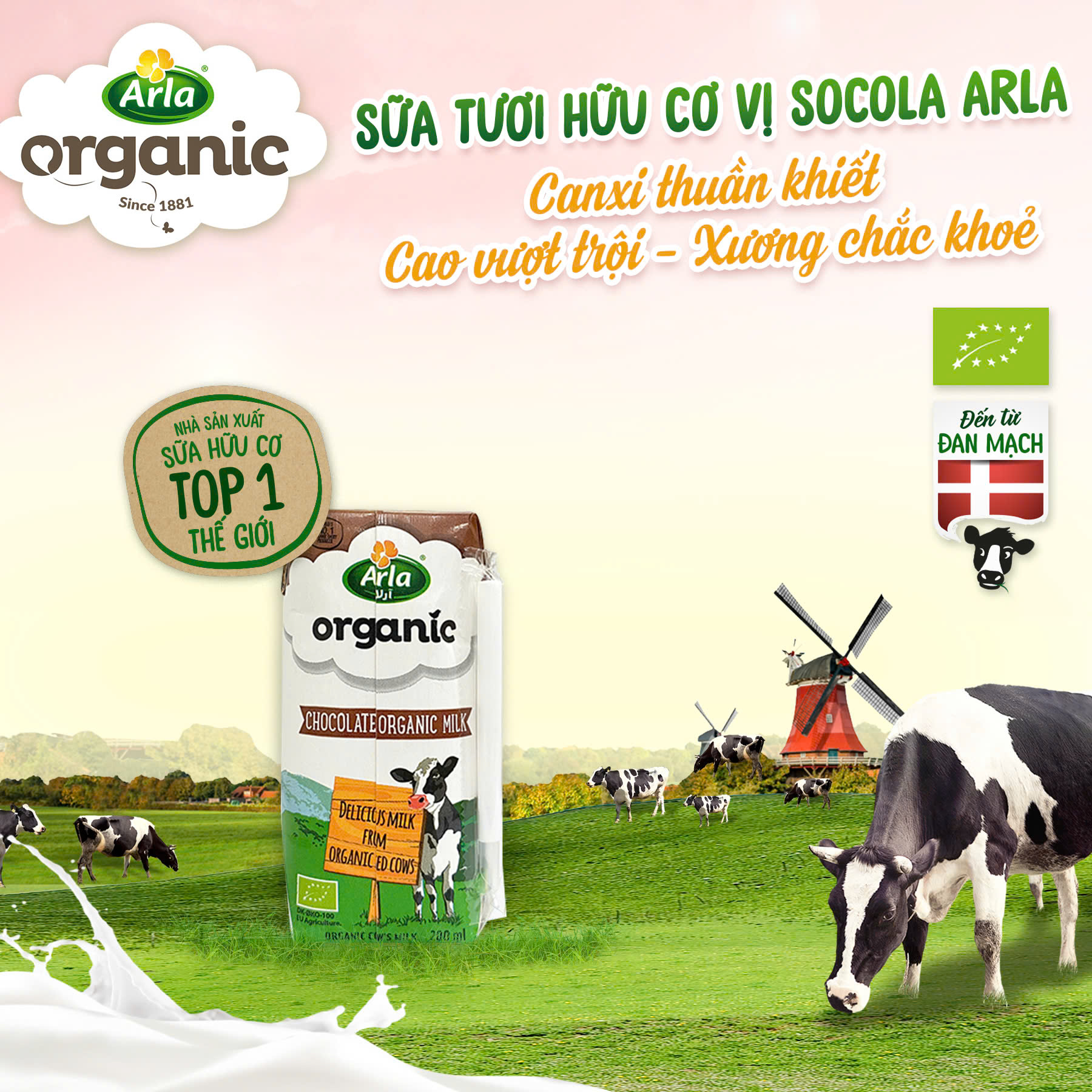 Sữa tươi hữu cơ vị Socola Arla 200ml