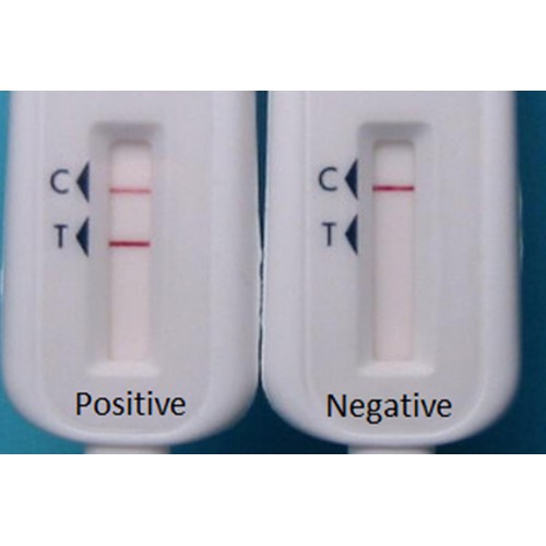 Test Hiv Bằng Dịch Miệng, Que Thử Hiv Oraquick không cần lấy máu