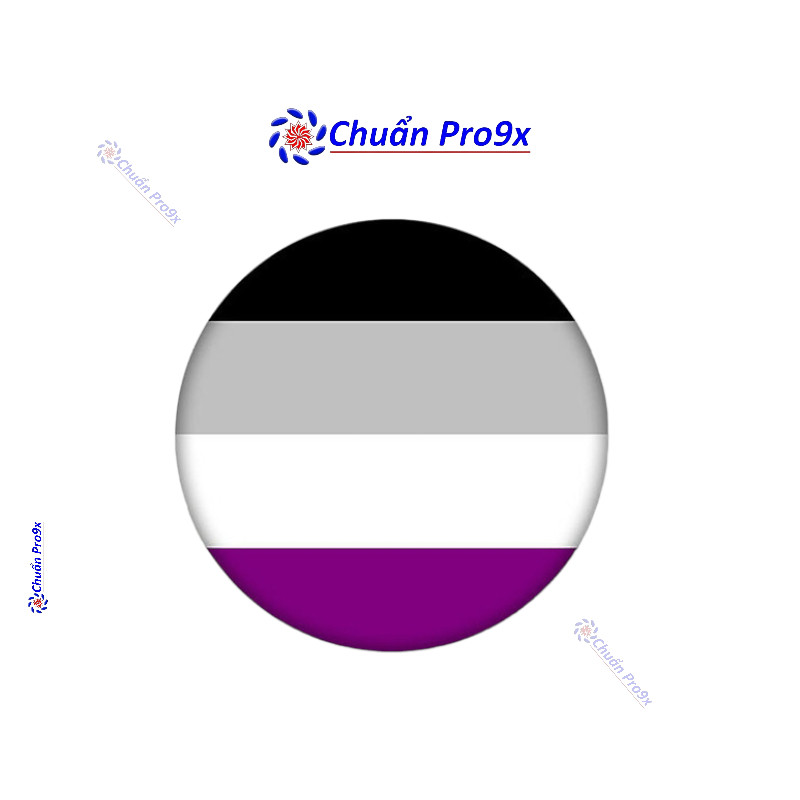 Huy Hiệu LGBT Asexual (Cờ Vô Tính) 44mm – Phụ Kiện Tự Hào