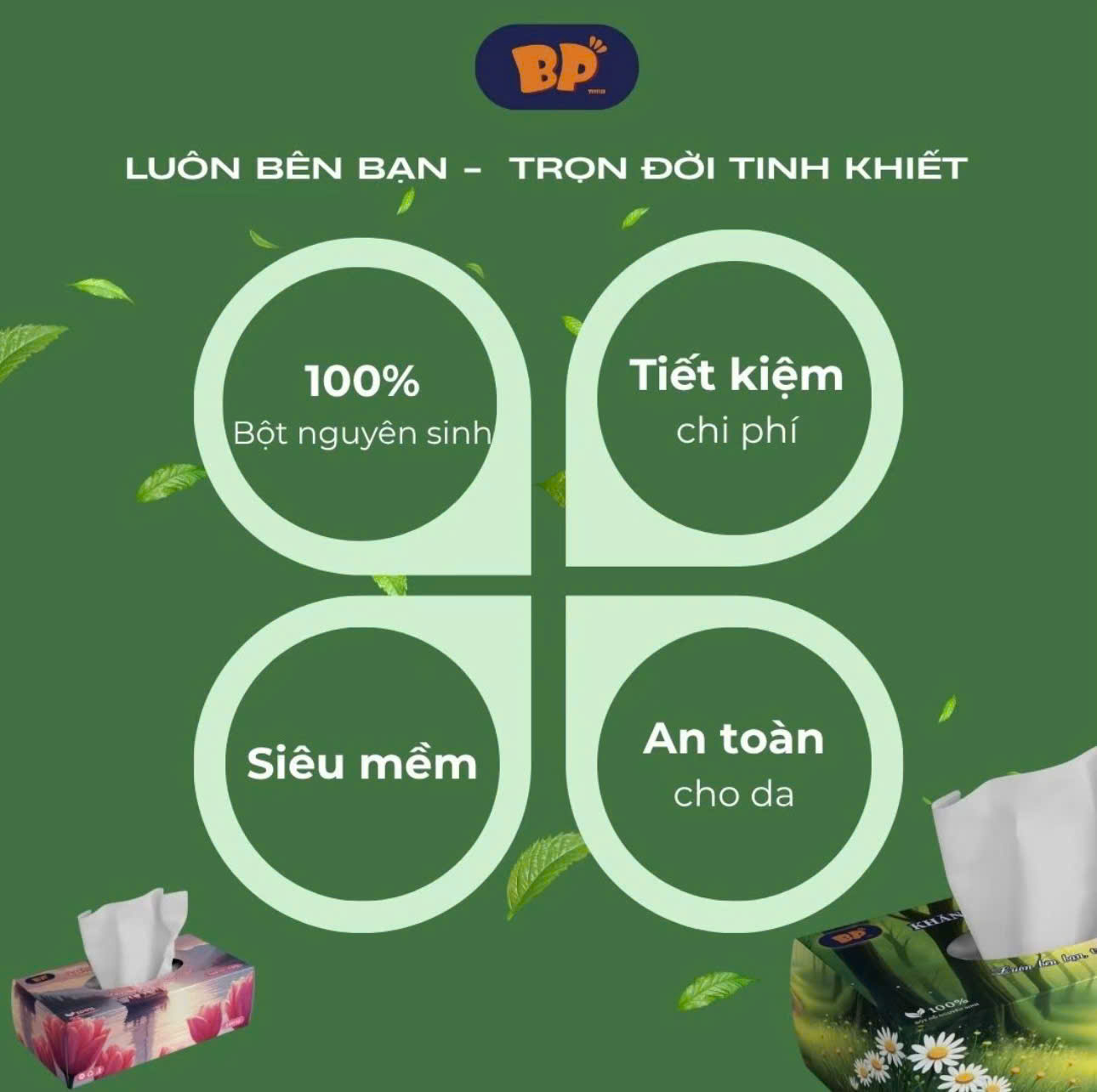 Giấy rút Hộp cao cấp