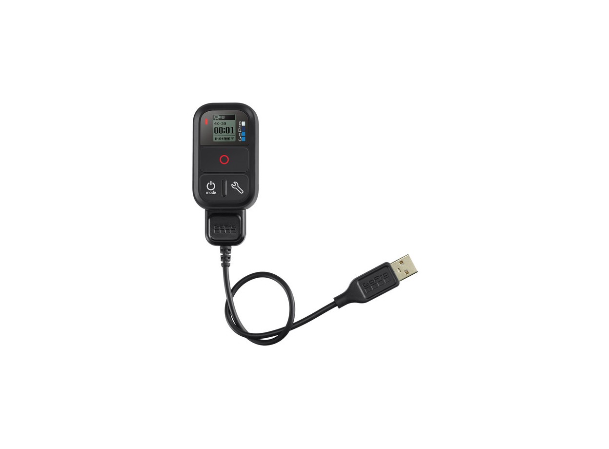 GoPro Smart Remote