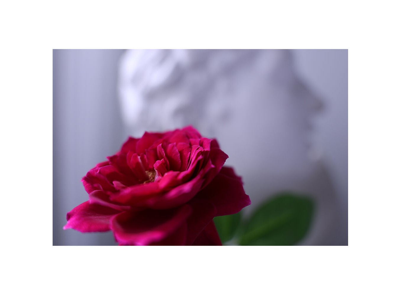 Canon RF 16-28mm f/2.8 IS STM (Chính hãng)