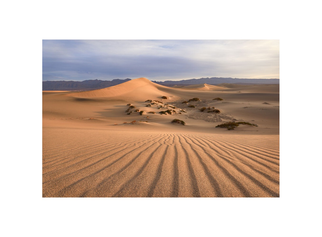 Canon RF 16-28mm f/2.8 IS STM (Chính hãng)