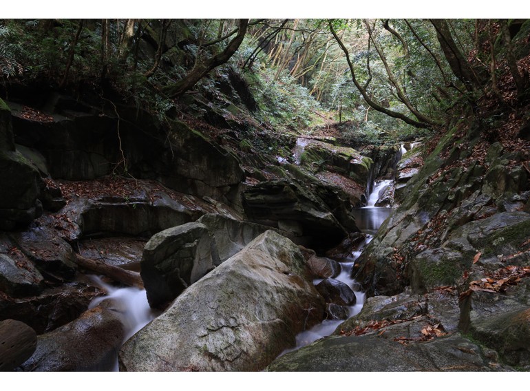 Canon RF-S 18-150mm f/3.5-6.3 IS STM (Chính hãng)