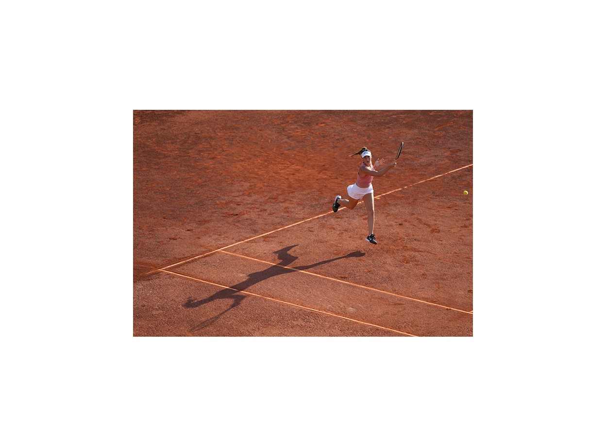 Sony A1 + FE 200-600mm (Chính hãng) (Thẻ Nhớ 64GB + Dây Đeo + Bộ Vệ Sinh)