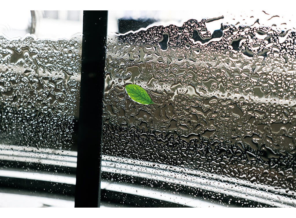 Canon RF 24-70mm f/2.8L IS USM - Likenew 99,9%