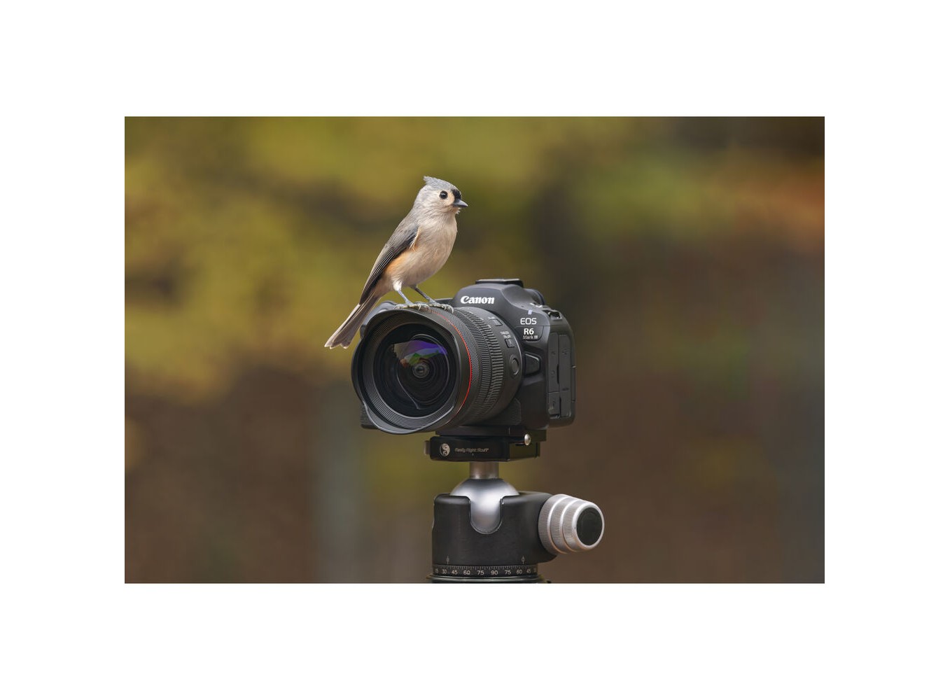Canon EOS R6 Mark III (Chính hãng) – Kit RF 24-105mm f/4L IS USM