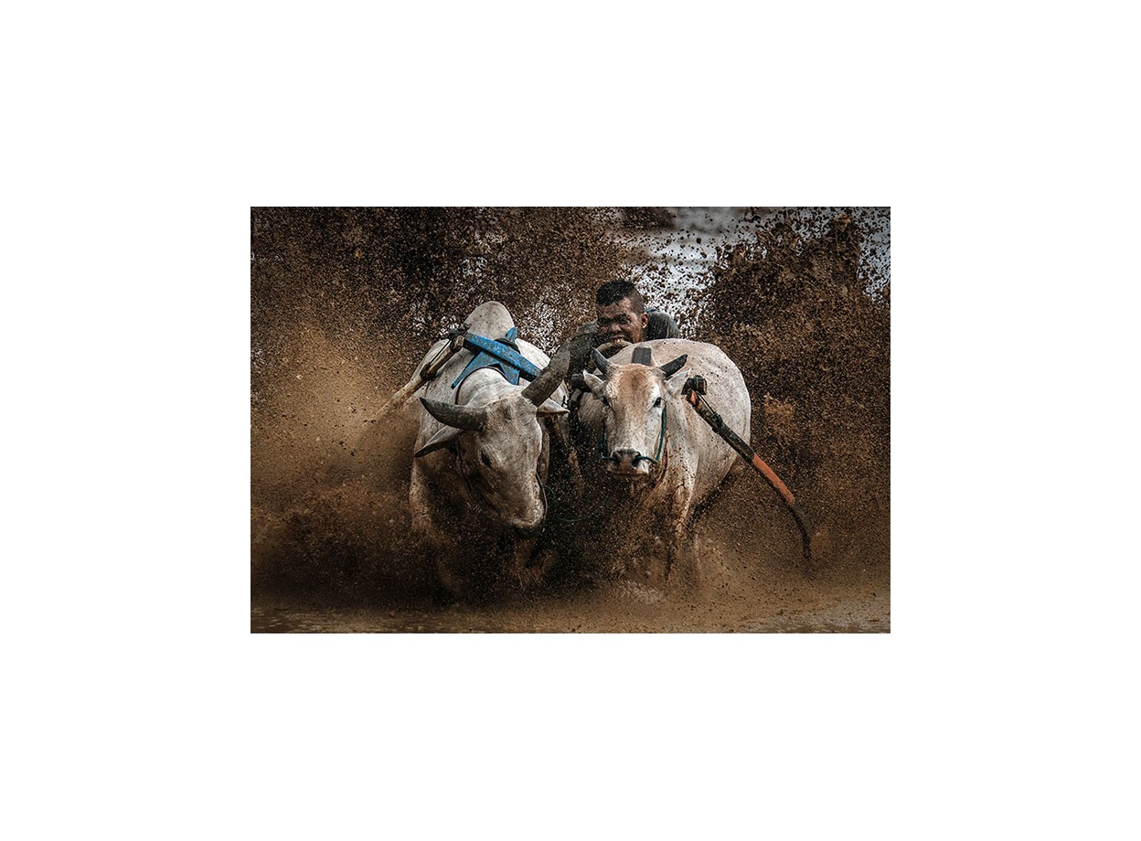 Fujifilm X-H2S (Chính hãng) (Kèm Lens Tamron 17-70mm f/2.8 III)