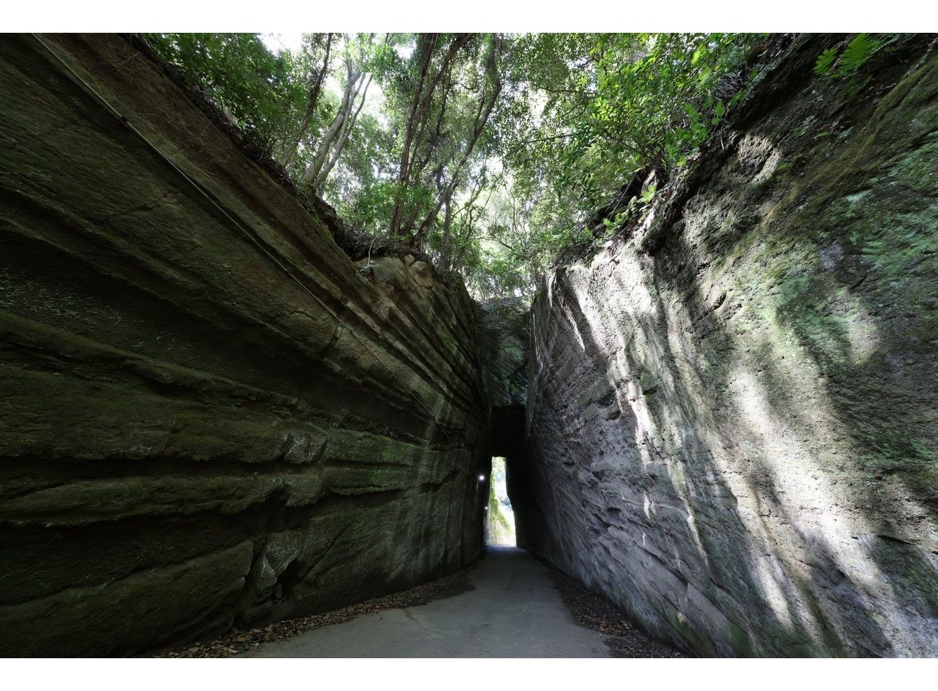 Canon RF 10-20mm f/4 L IS STM (Chính hãng)