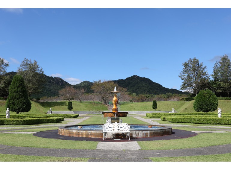 Canon RF 24-50mm f/4.5-6.3 IS STM (Chính hãng)