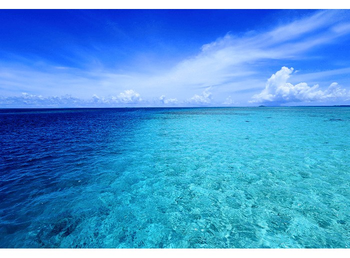 Canon RF 16mm f/2.8 STM (Chính hãng)