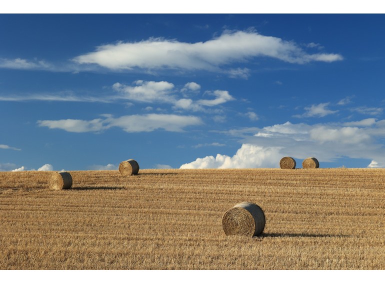 Canon RF 70-200mm f/4 L IS USM (Chính hãng)