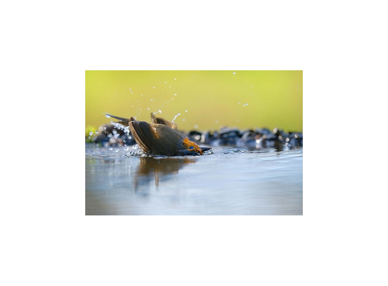 Fujifilm X-H2S (Chính hãng) (Kèm Lens Fujifilm XF 16-50mm f/2.8-4.8)