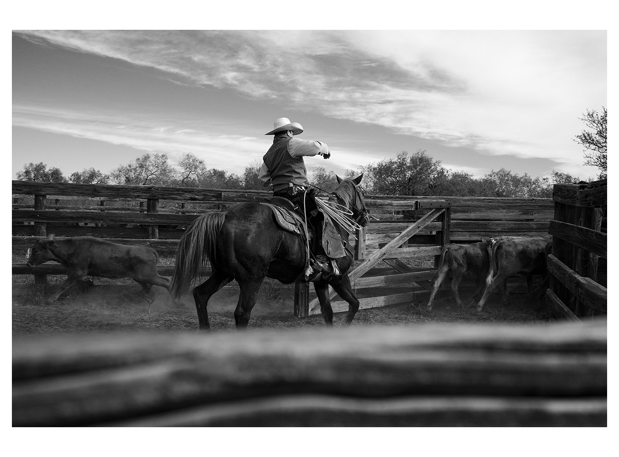 Fujifilm X100VI (HÀNG MỚI NEWSEAL)