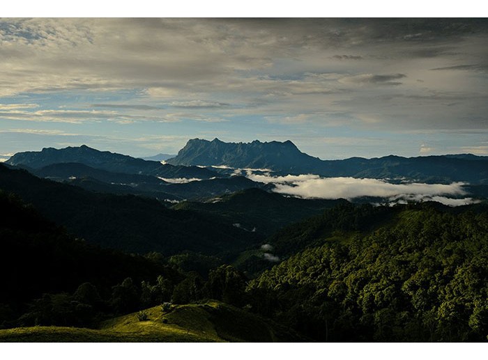 Fujifilm X-H2 (Chính hãng) (Kèm Lens Tamron 17-70mm f/2.8 III)