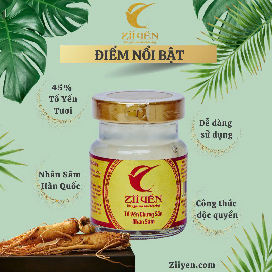 Yến Sào Nhân Sâm – Tinh Hoa Đông Y Cho Sức Khỏe Toàn Diện