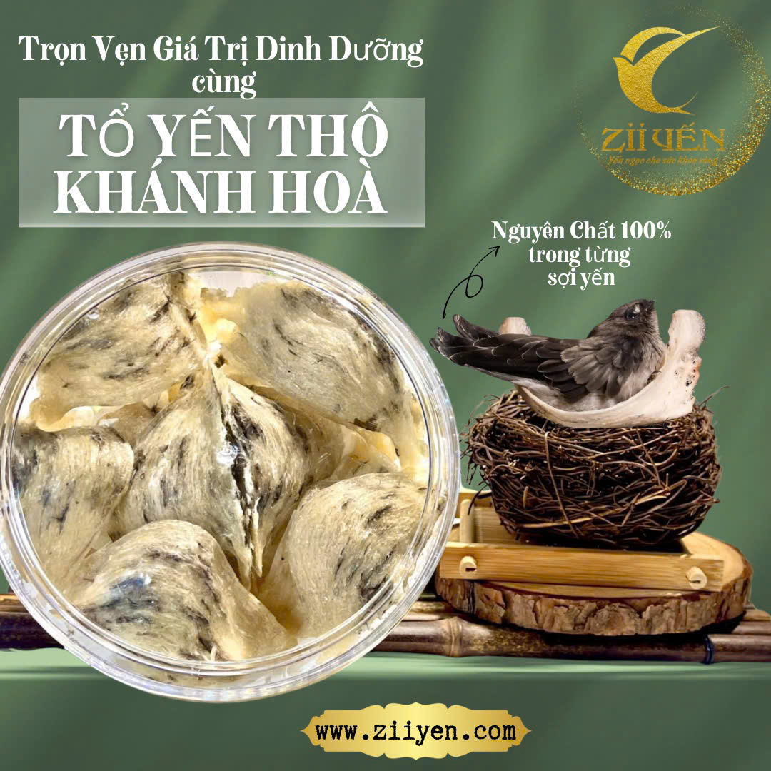 Tổ Yến Thô Loại 2 & Loại 3: Sản Phẩm Dinh Dưỡng Tự Nhiên Tiết Kiệm