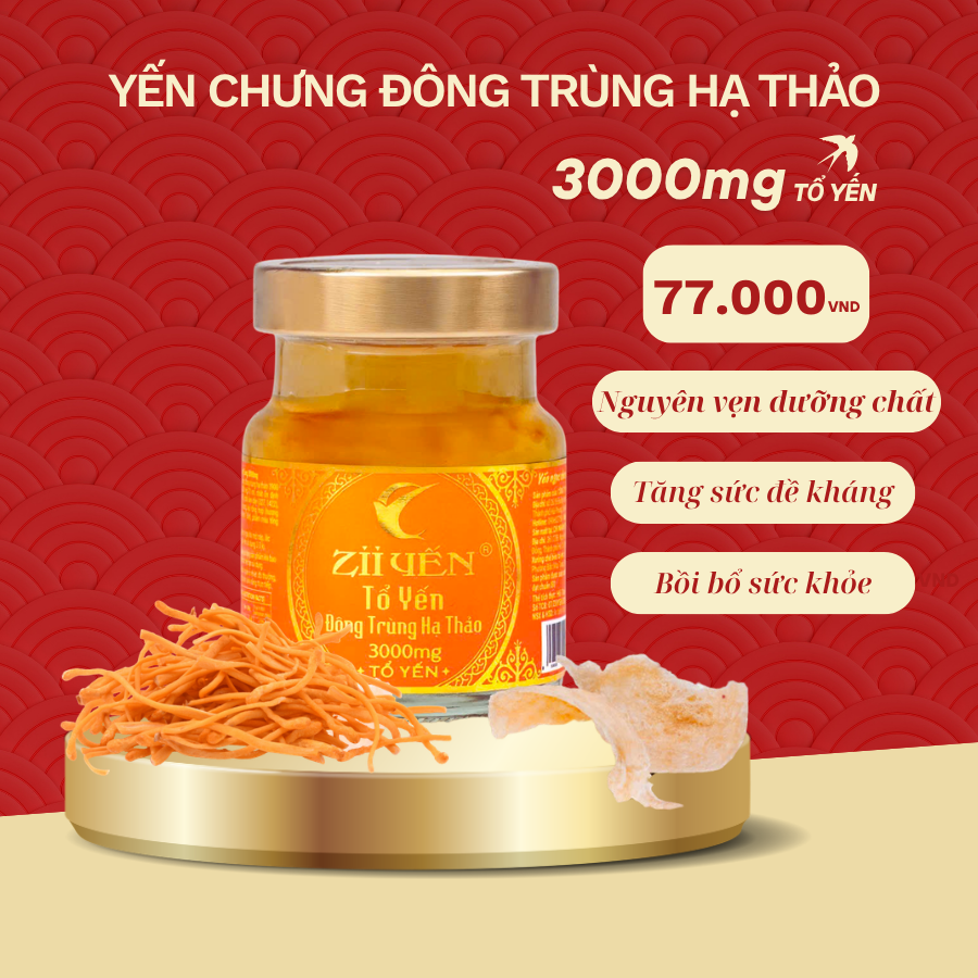 Yến tươi chưng Đông Trùng HT - 3000mg tổ Yến