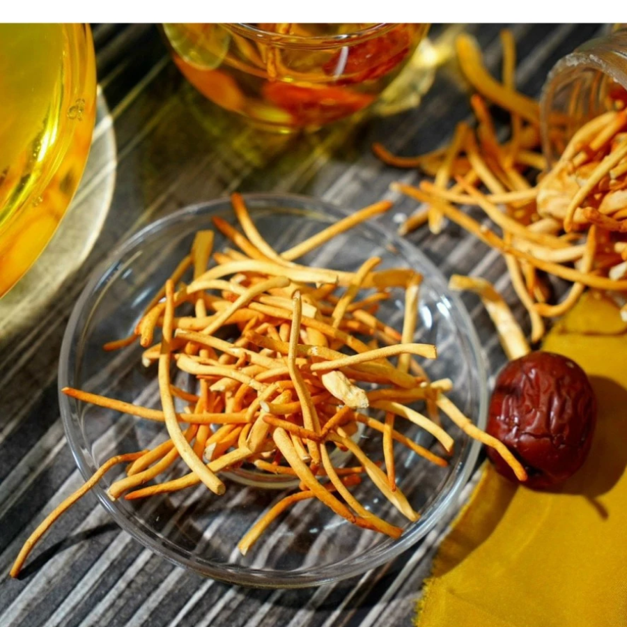 Đông trùng hạ thảo TAKICHI sấy thăng hoa hộp 5 lọ 50g