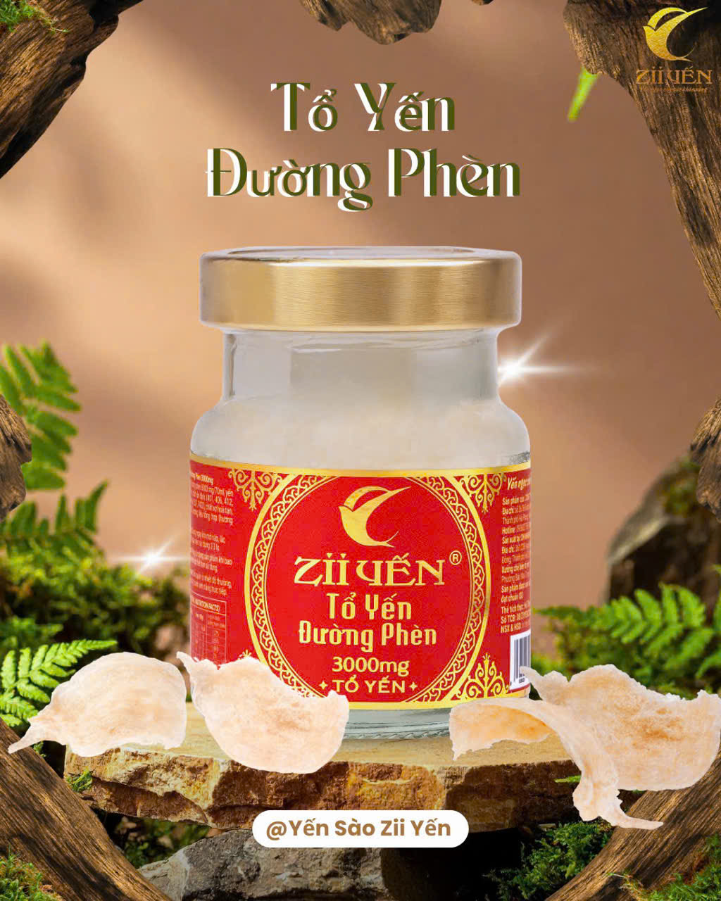 Yến tươi chưng đường phèn 3000mg Tổ Yến
