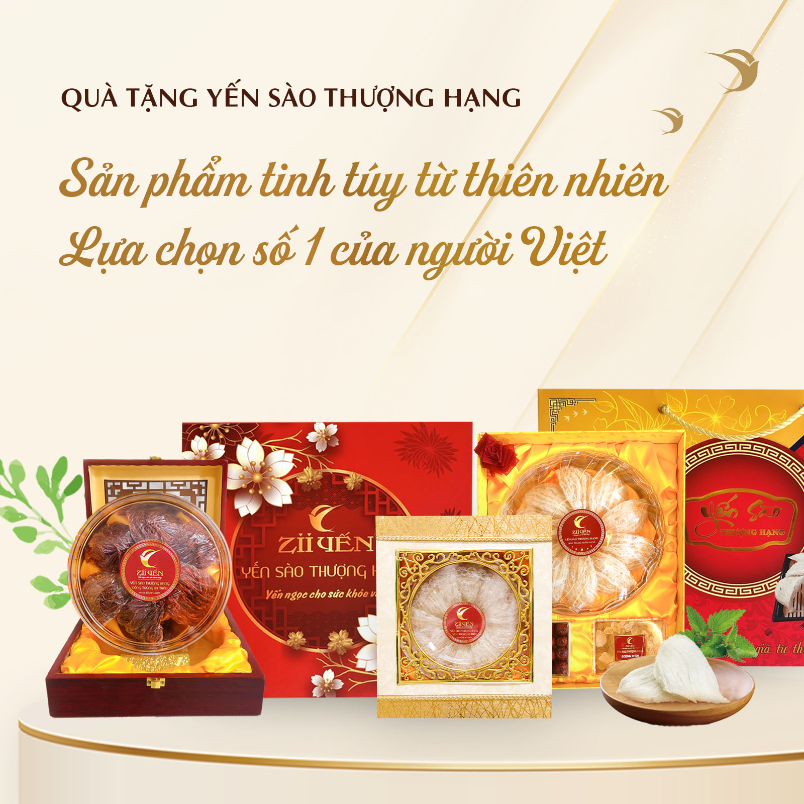 Zii Yến Hà Nội - Yến sào thượng hạng