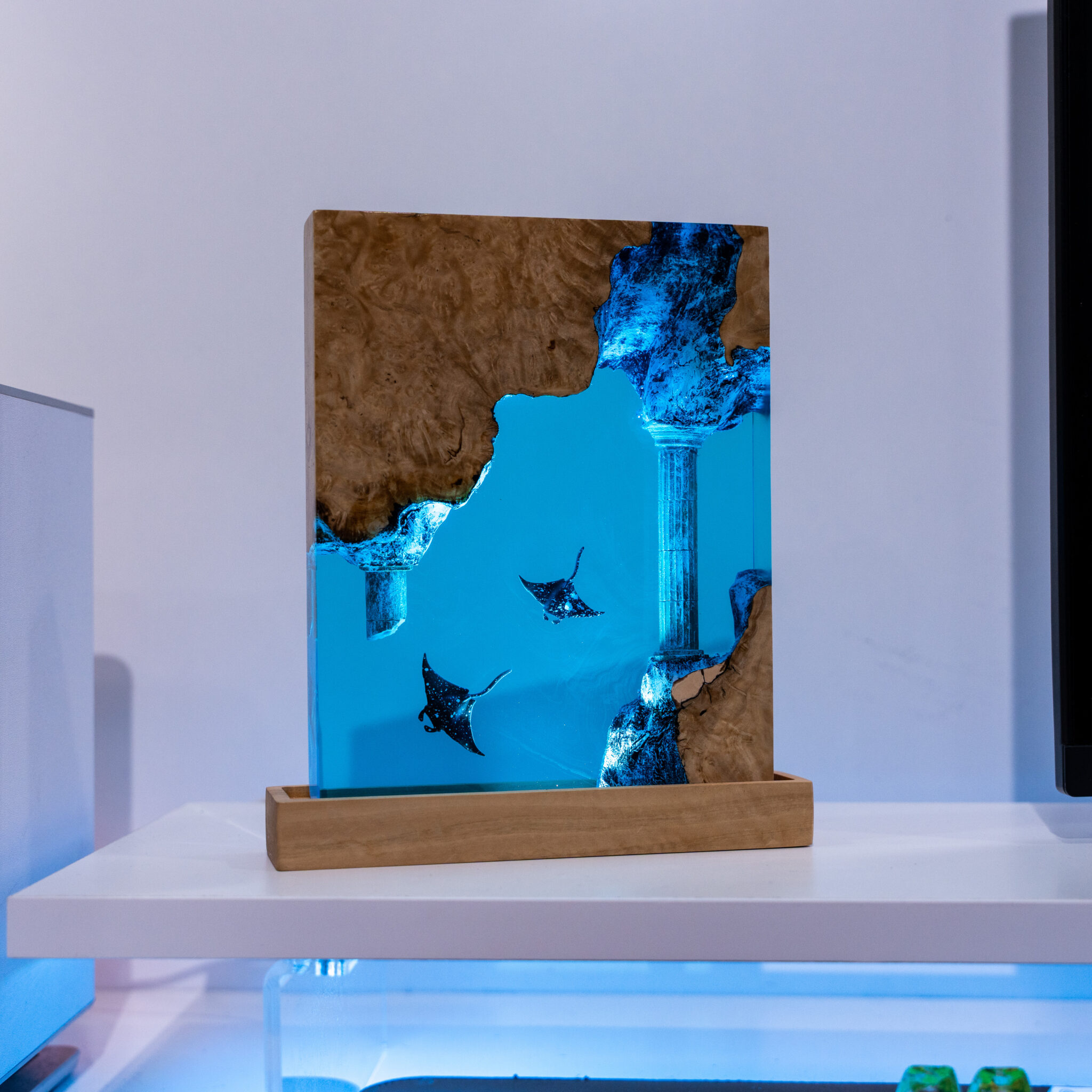 🌊 Bring the Ocean Home: BreakWooden’s Manta Ray Collection