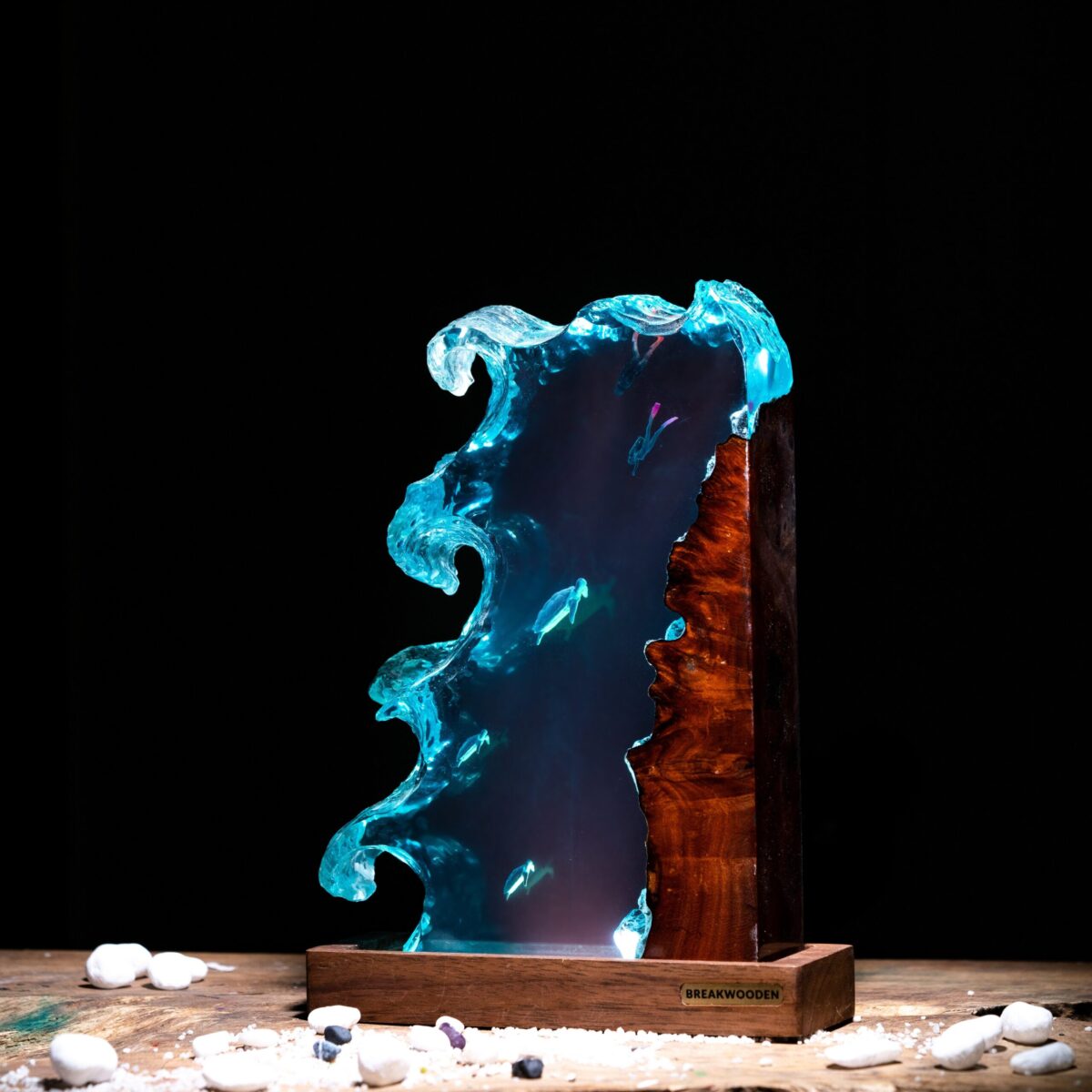 🌊 Ocean Galaxy Sale – Up to 70% Off This August