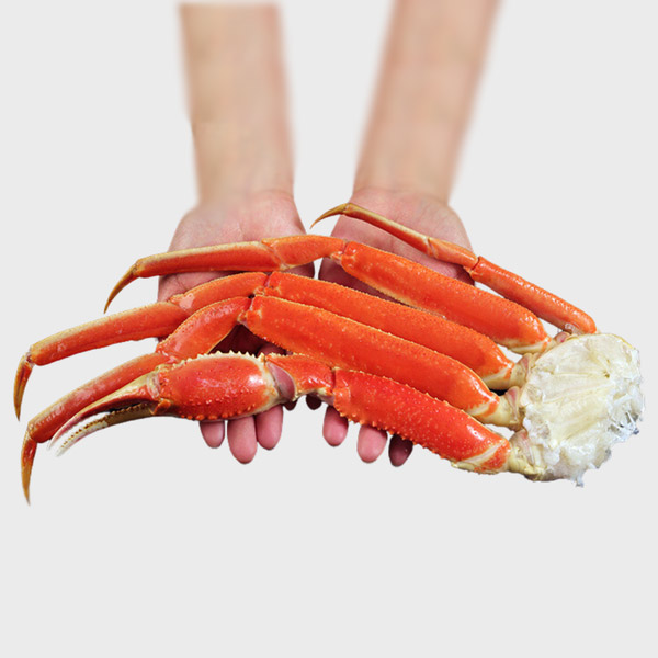 Chân Cua Tuyết Size Lớn