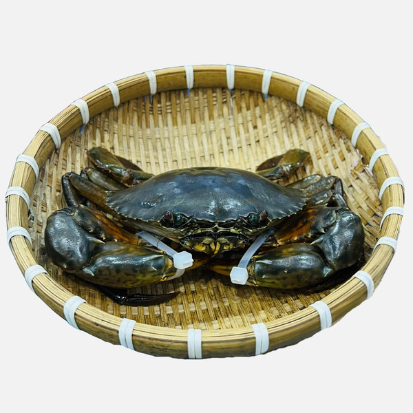 Cua Thịt Cà Mau Sống