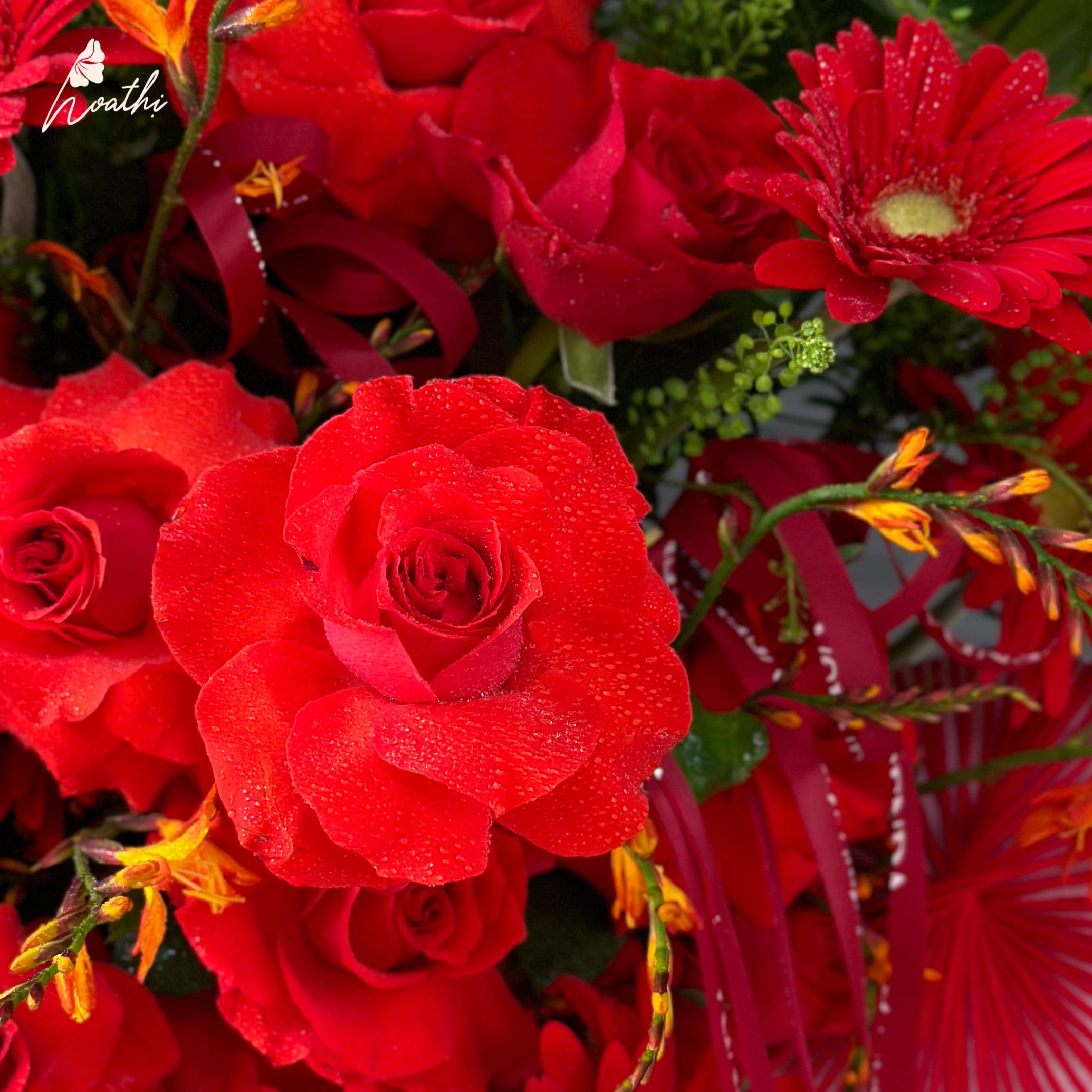 Chậu Hoa Hồng Phát - Hoa Tươi Khai Trương