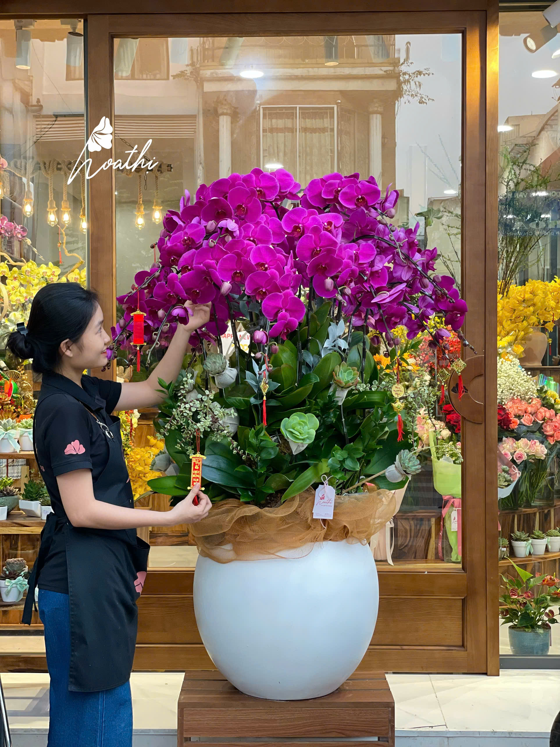 Chậu Lan 25 cành tím HT17