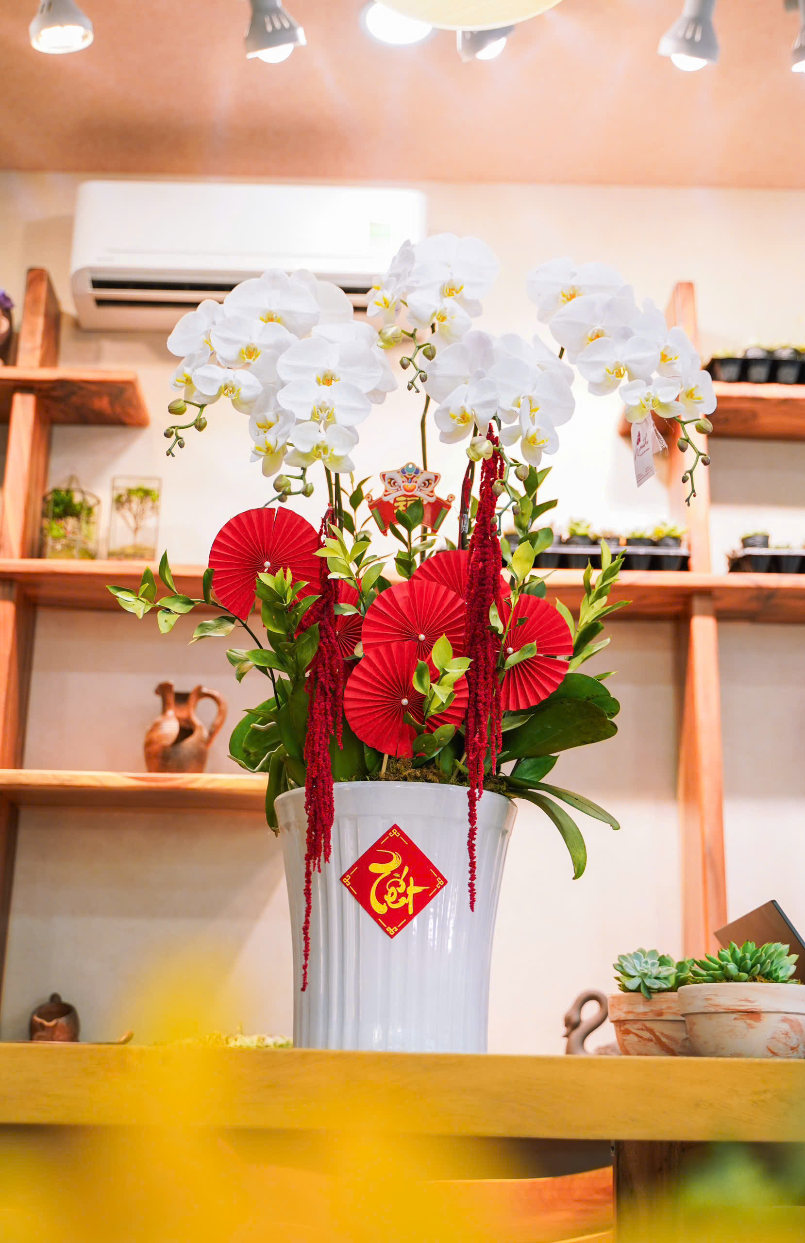 Chậu hoa lan hồ điệp trắng 5 cành HT26