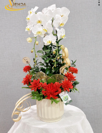 (LM) VŨ ĐIỆU LAN VÀ SEN