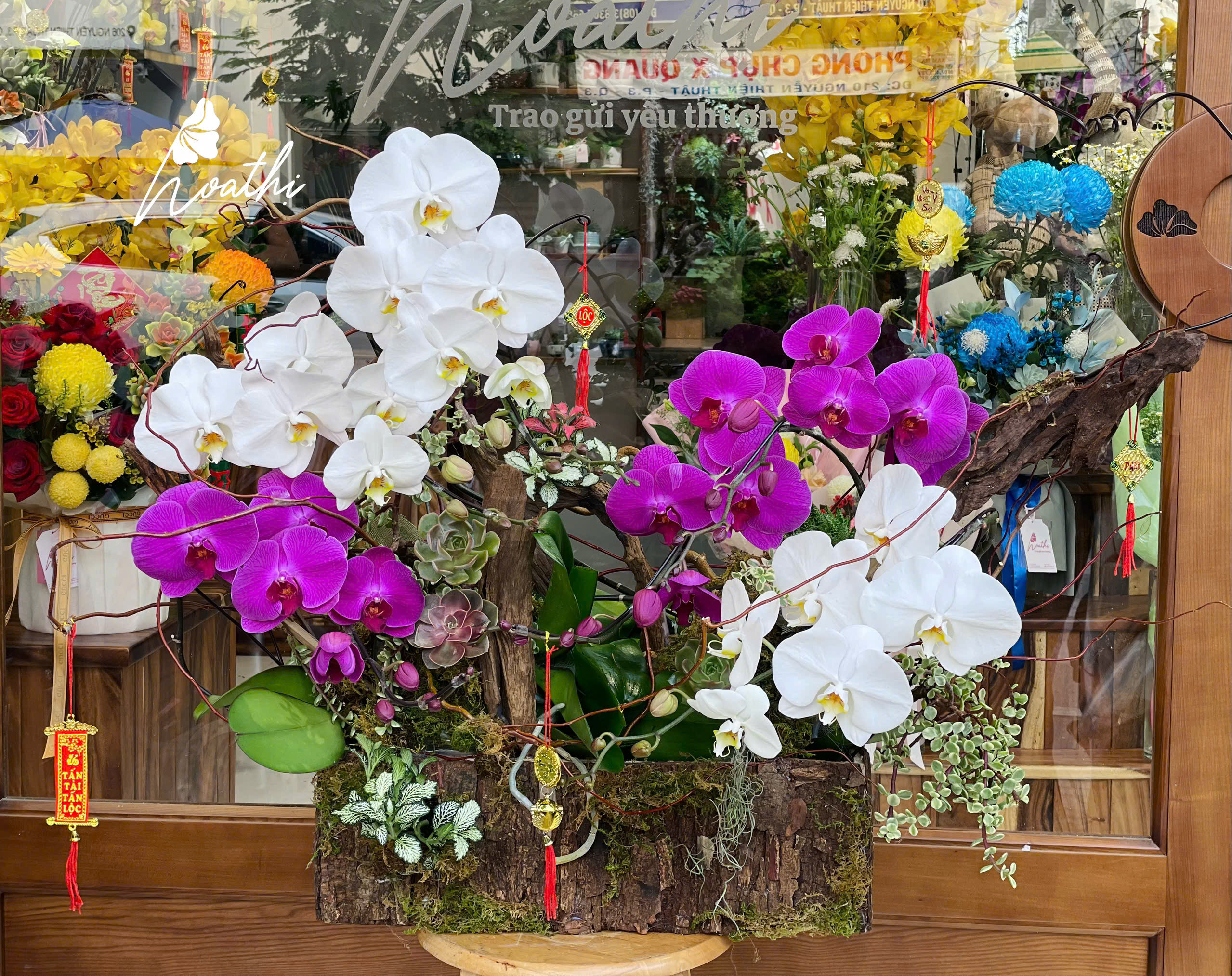 Lẵng hoa lan mix sen đá HT11